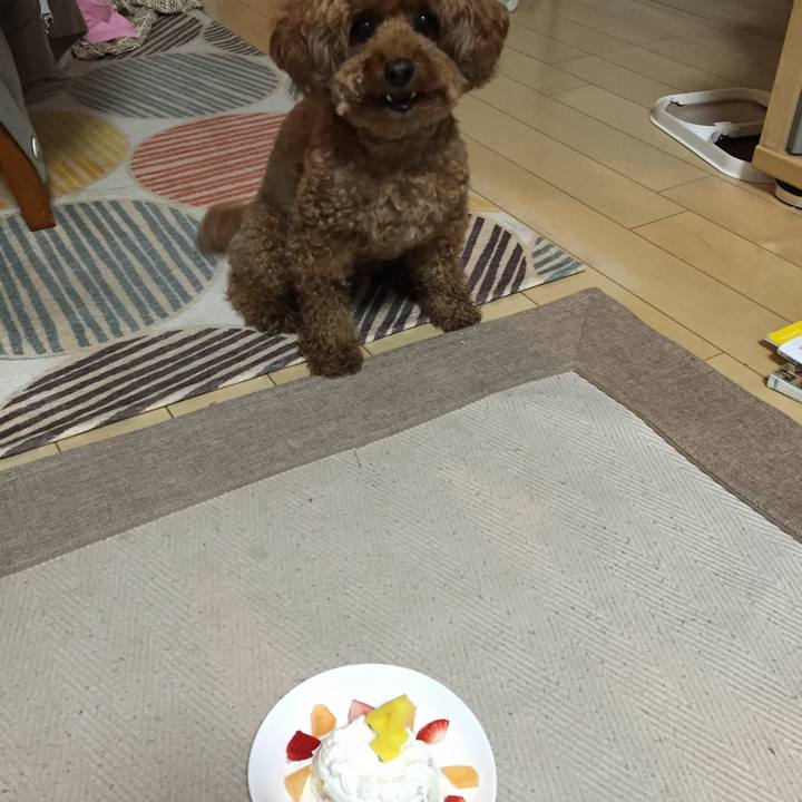 68a7ae67 ab68 483e ac14 d0b94936b902