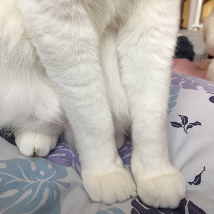 68a8305c 9676 4d74 9a56 d20b069ecc5e