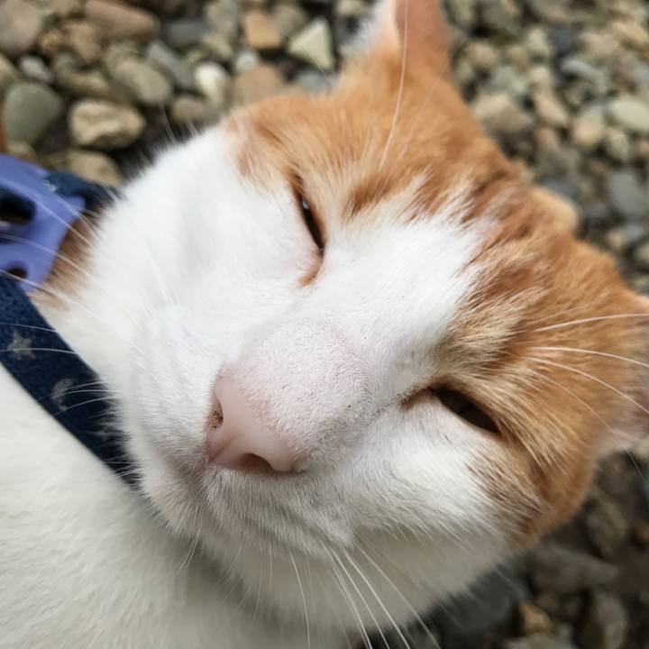 68a852e9 8b52 4f61 8194 dae3753e7c02