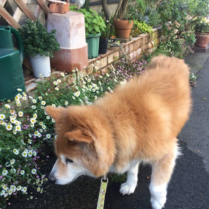 68a9628a 3960 4610 b4f3 e187563436b6