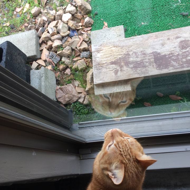 68a96ea1 48a8 42d9 a924 00ea0b3c792c