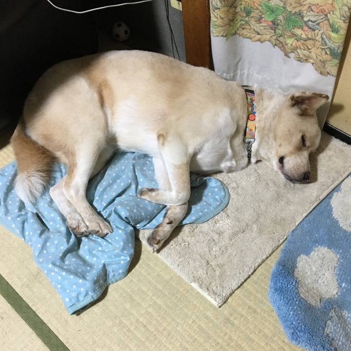 68a98074 56e5 46a8 b72f 2e731c9837a3