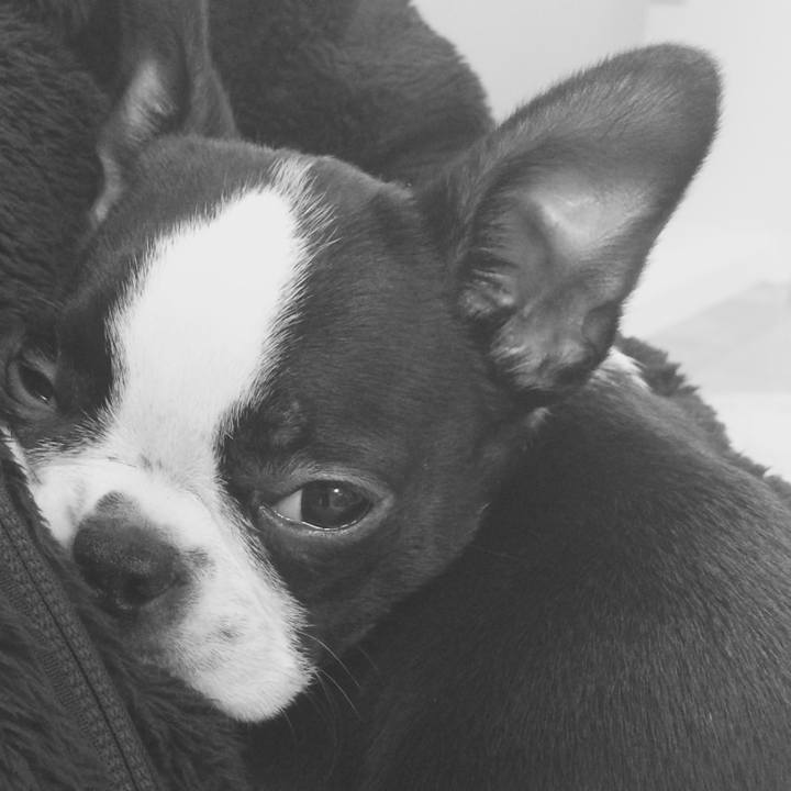 68a9dcd8 da3a 4090 993e 9902e06d6b82