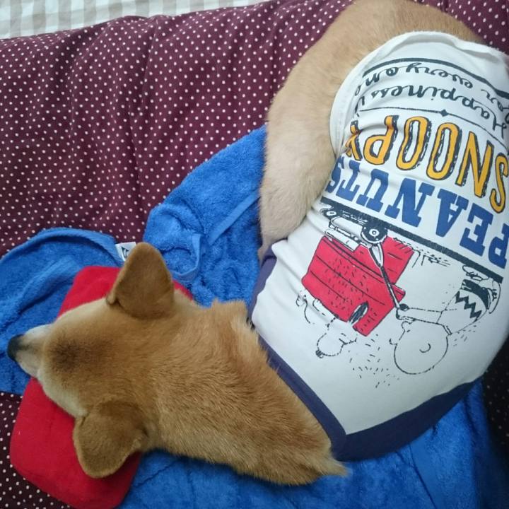 68aa01e2 2e44 4f39 b9e3 5f7019f4fa47