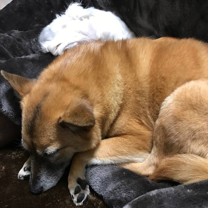 68aad0d5 169c 4895 87aa 1adb966e386b