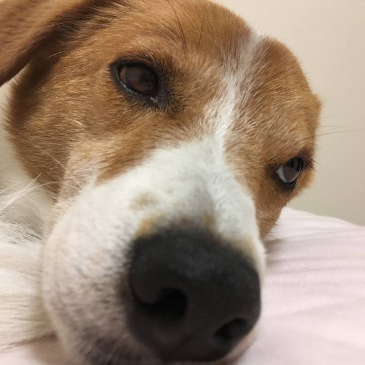 68ab21e4 3e87 4818 843b a2cc60e742bf