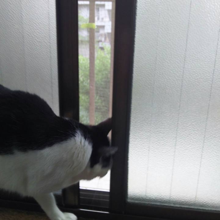 68abee45 79fc 4108 af21 117bf3b57444