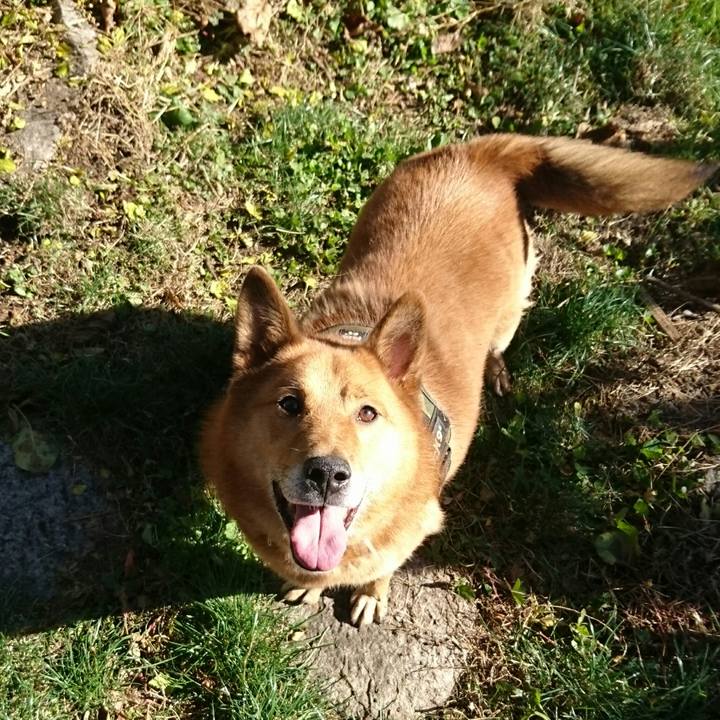 68ac1d78 3979 4b0f 9d34 435c31b0af56