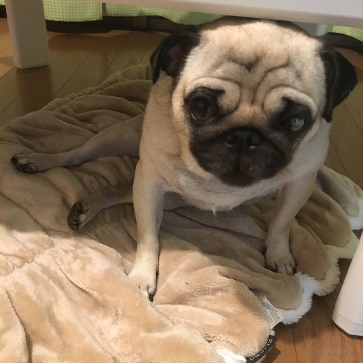 68ac48b3 c526 41ed 976c fcc51cb880ac