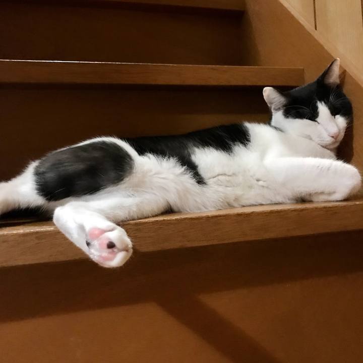 68ac5731 ad3e 4489 a0ed 51f54c33f7b7