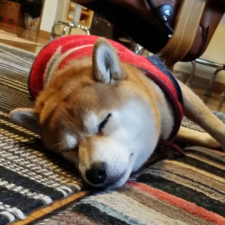 68ace674 de59 47f2 8394 b670c9075519