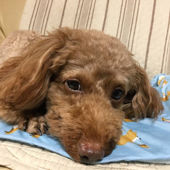 68add112 641e 4141 9808 1f16ee487465