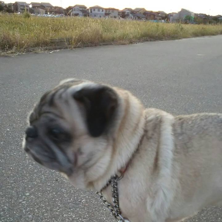 68ae9185 e376 4354 bbe1 3f8eff441f6d