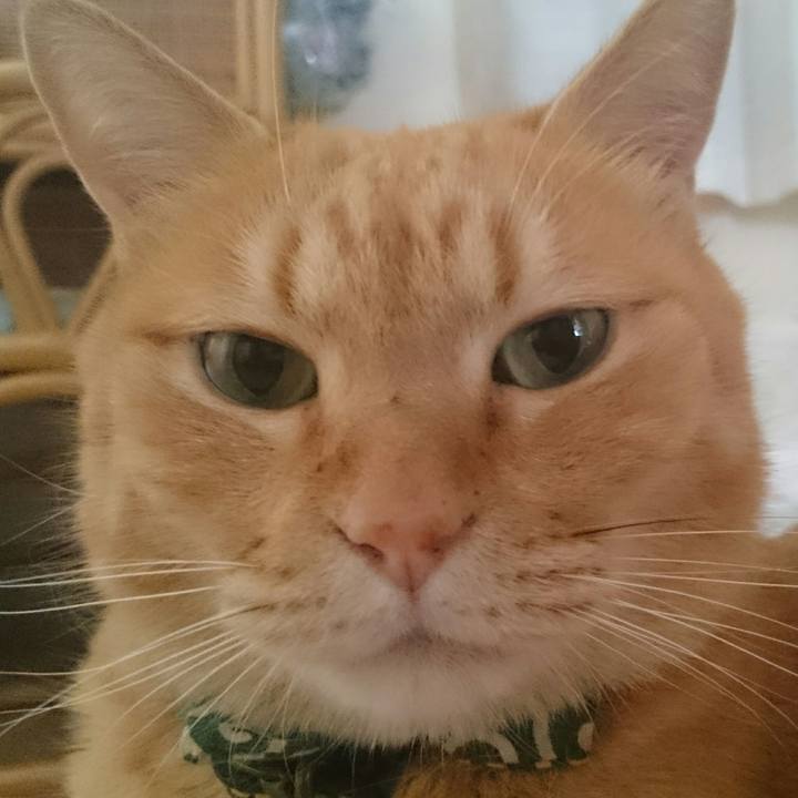 68af3fe2 6267 4411 abb9 c378d5eb2647