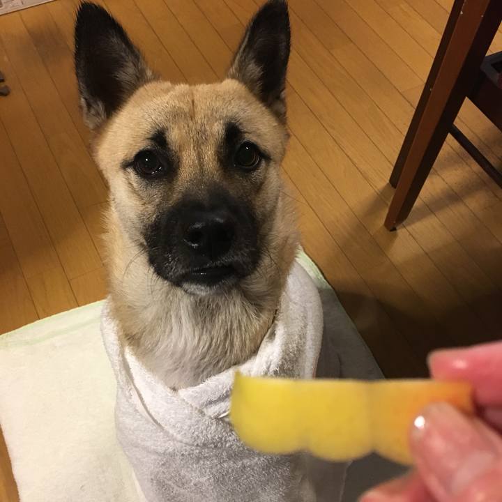 68b03060 530b 4c4b a454 553a47106086