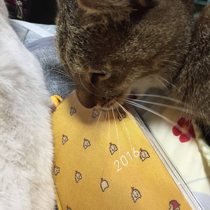 68b081f0 5783 40aa 890e 75e04c8d9023