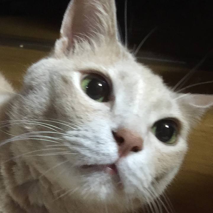 68b0c5bf 085f 4ad5 8579 9311d8da20db