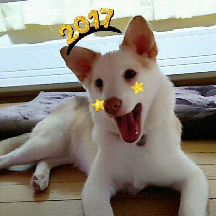 68b0fd8a af80 411e 921f 5b9a854cd5ff