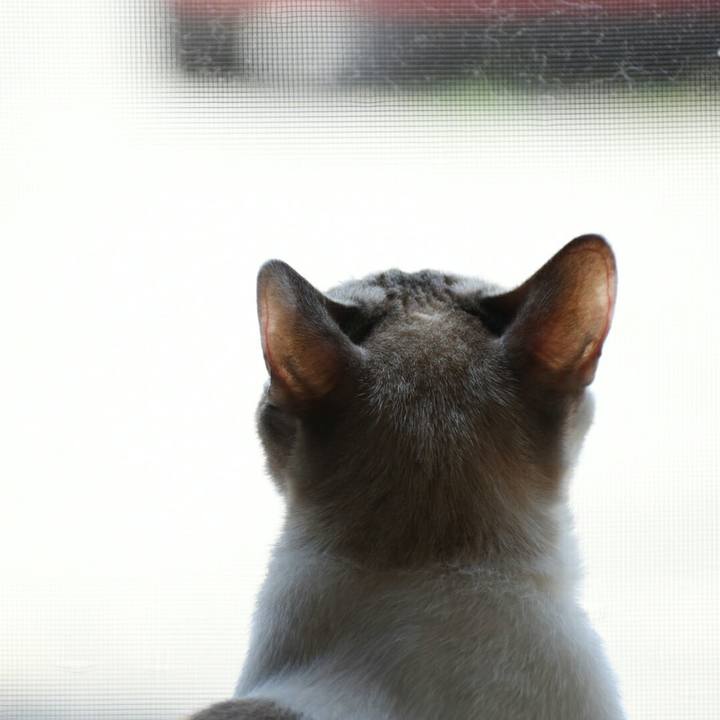 68b1b013 140b 4d17 b927 be10082d2703