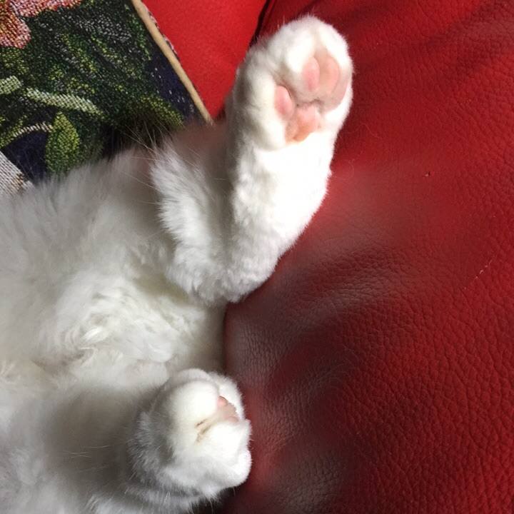 68b213d5 b3b6 42cf a53c 8329c3309c36