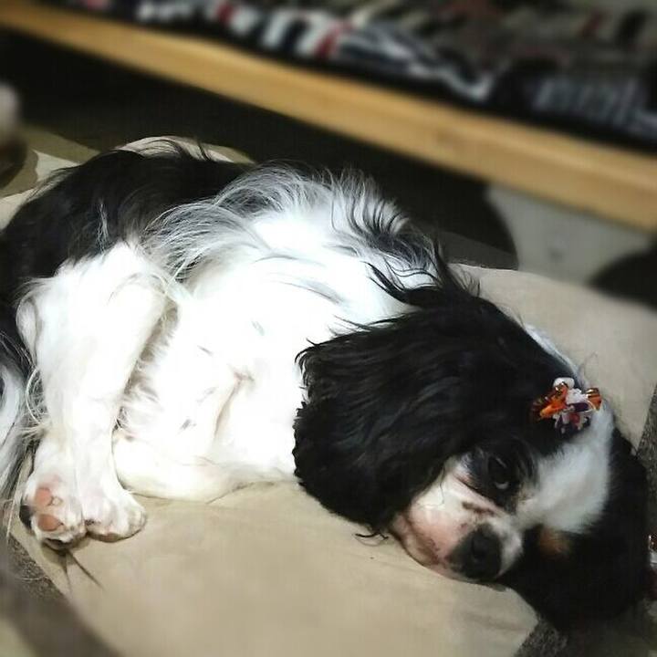 68b242ec 0585 43e4 bc98 7f2bc7a11e4e