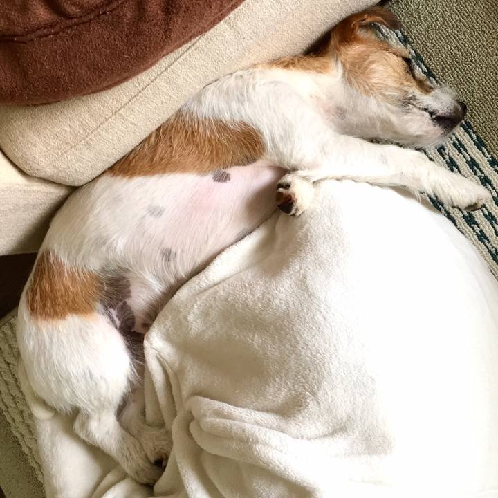 68b2bb5a c99e 4f23 9f7e 1558095a43fd