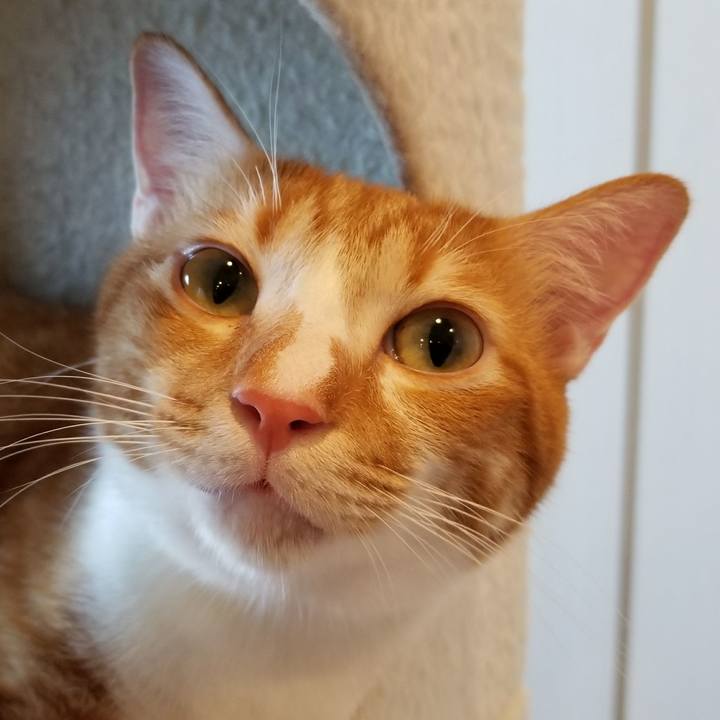 68b2df1b 0dff 4baf b788 bc3999ca1878