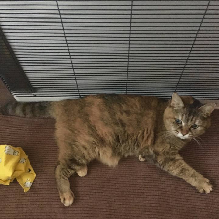 68b3c384 4eac 49b2 9927 a25b92c5f036