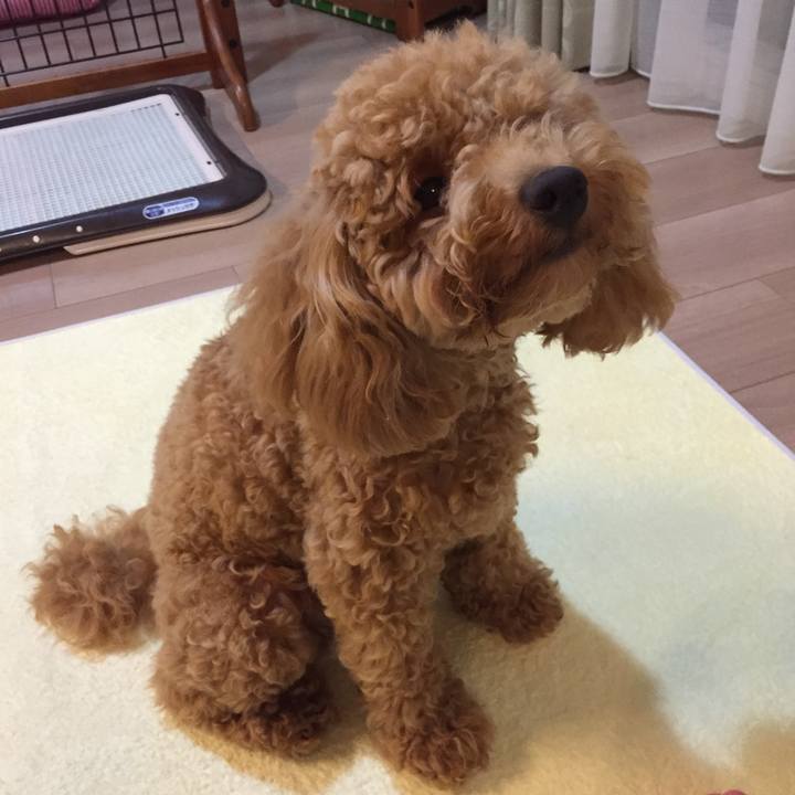 68b4787e f721 4e21 9591 a6b8c8822909