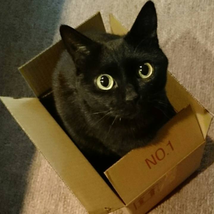 68b51347 ac12 4c76 a1cc b3733eb91d73