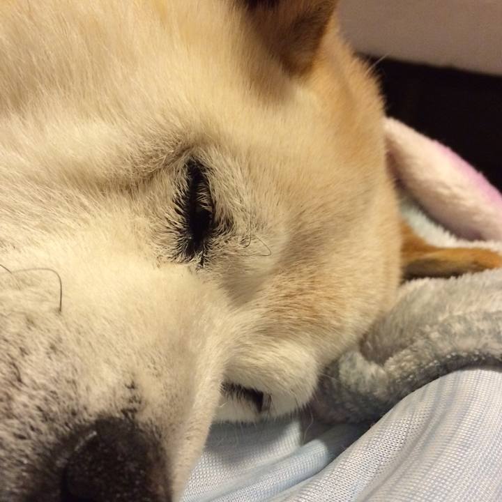 68b530be 242c 4ba8 b1fe 7cee6d9fb99a