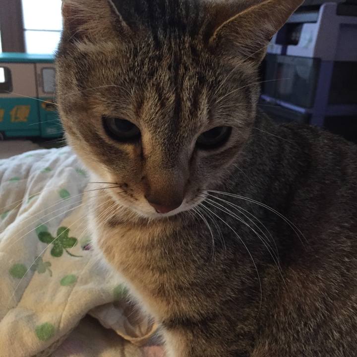 68b67eda 6520 4d26 9abd bece88b6cd80