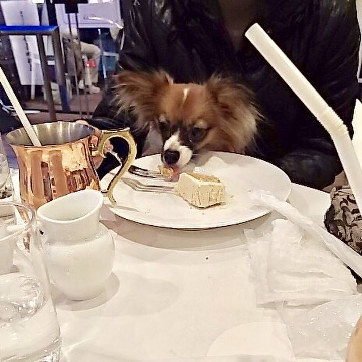 68b692c6 01cd 4b78 8eb8 2aee6995bc23