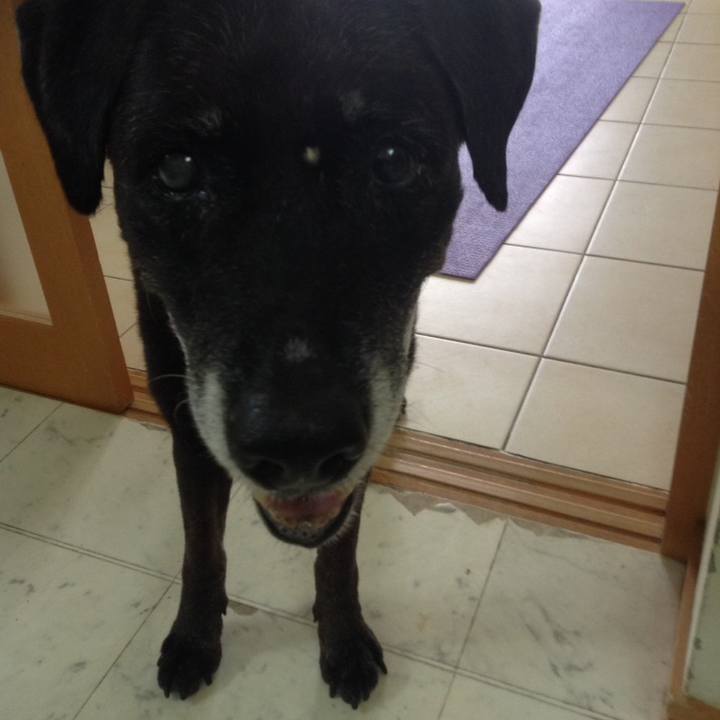 68b768d1 11a2 4bf6 89c6 0c7cd72e6e46