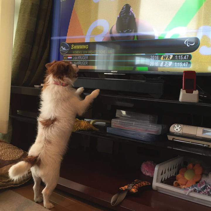 68b76b3b b440 40dd ac3e 8dcb3bd9f14e