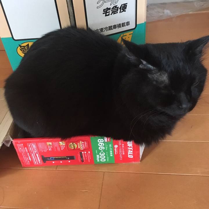 68b7d467 a5bd 408d 9e62 f3764e03605e