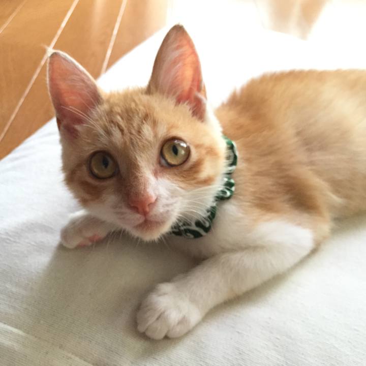 68b81f9e cae7 4ff4 98b4 7892cef4d697