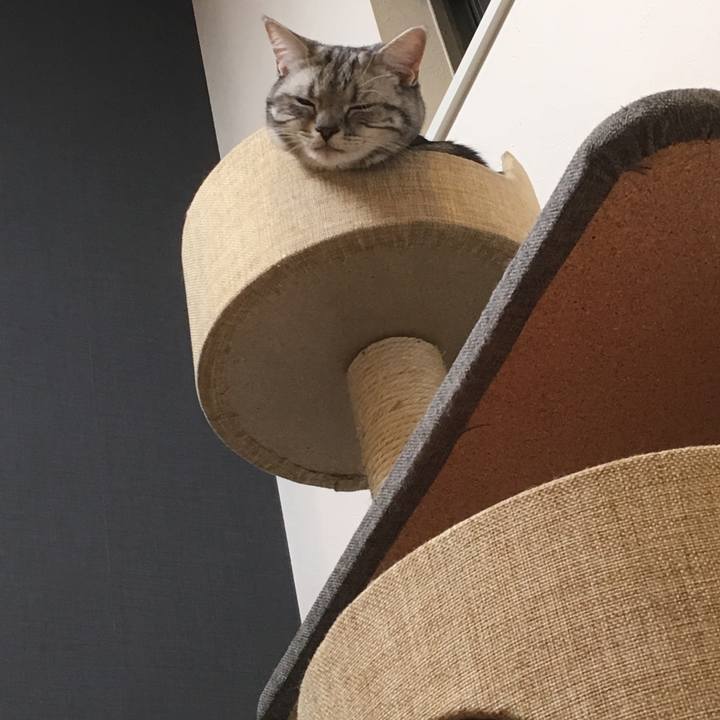 68b89a5f 1551 4715 b93c 9421458af99e