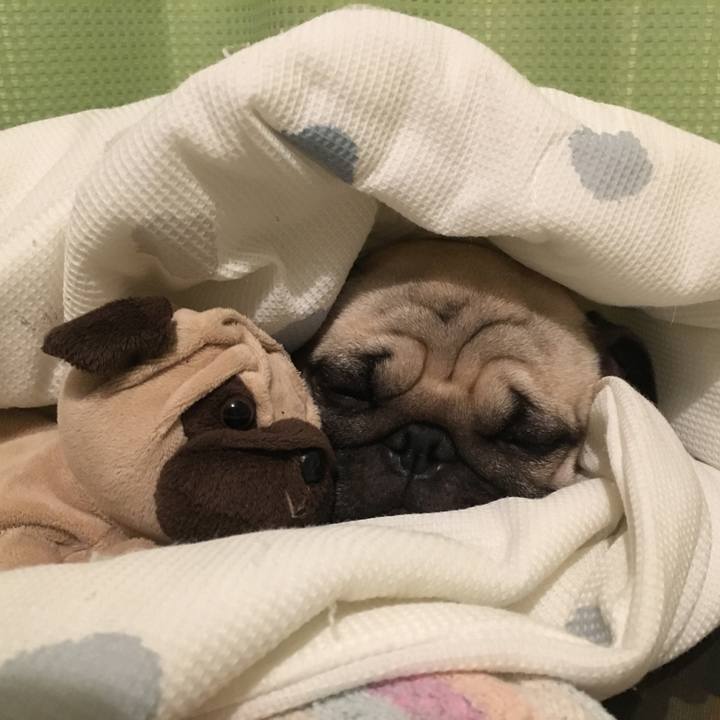 68b8a794 c1a3 481d bc36 30c04dec3c4c