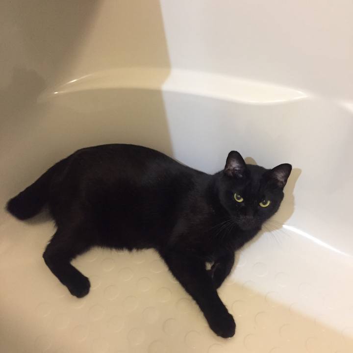 68b928f0 0e31 415a b110 78493fd0ec00