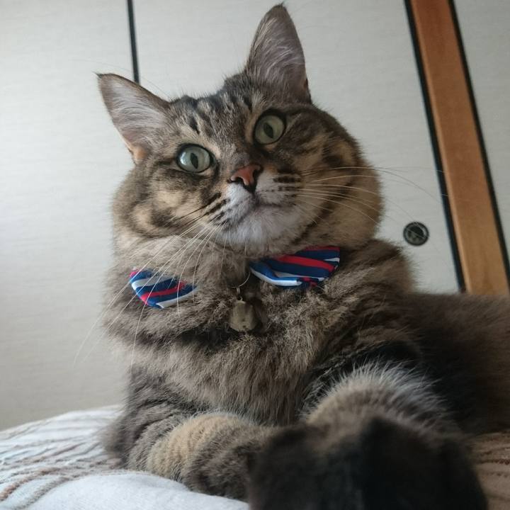 68b92cc7 d539 4870 96c9 6f22864e4be4