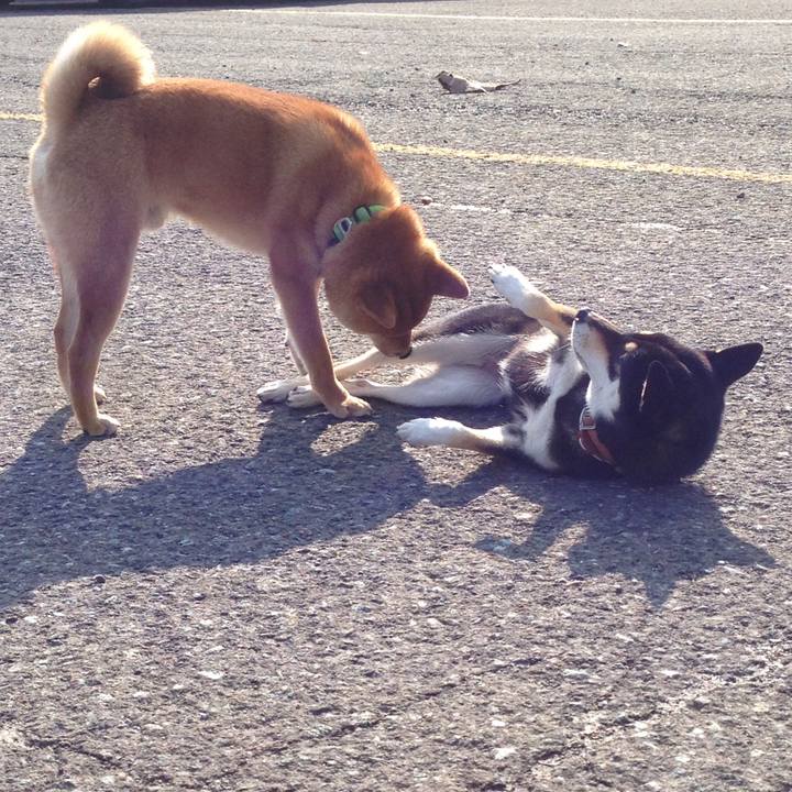 68b94bd7 9223 42f4 b556 4aafa6295a8d