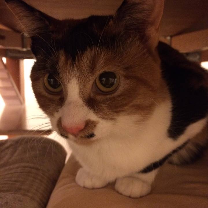 68b96443 6938 41f7 bbd0 99d88c2f93ec