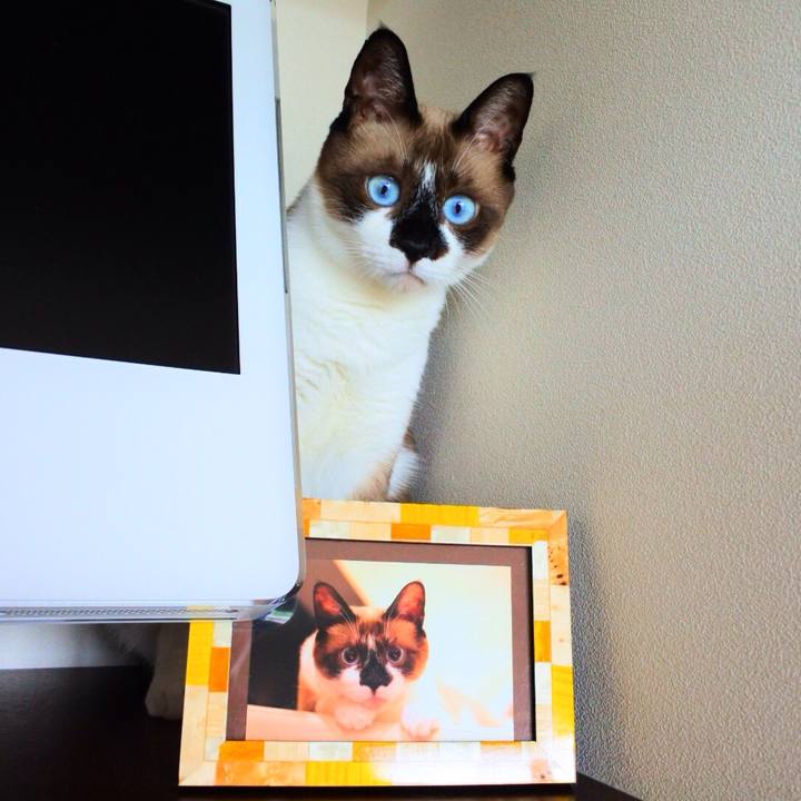 68b9a79e 81ae 430e a91d b0cd6dfb4296