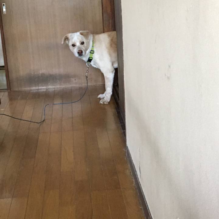 68ba175b b3da 4e6d bb04 a9532fc1a7e5