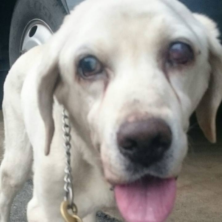 68ba57e9 6f82 4edf 840e 1ac780b70ed2