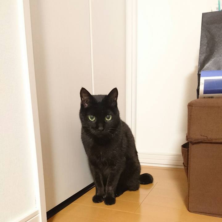 68ba6544 3b41 4339 9c0e 2089f27bd179