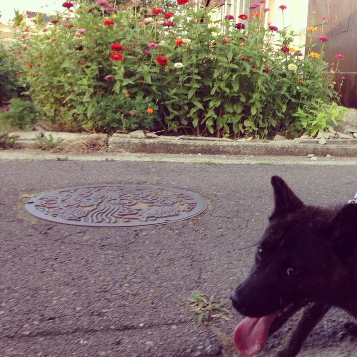 68baa0a6 ee72 40e6 aaa0 8d17ce34bc9a