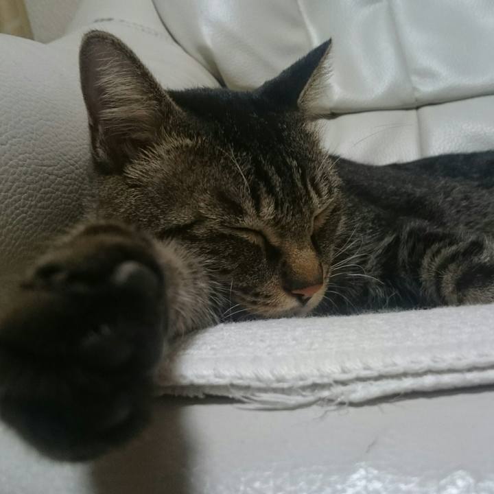 68baae2d 710e 4282 bf5f adf69e4a1fad