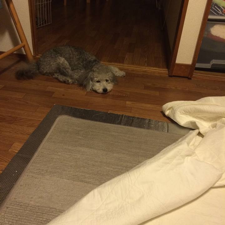 68baf318 45d6 4d34 802e e298c2c5ab4b